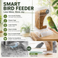 🎉Limited‑Time 56% OFF 🐦No Mess Automatic Bird Feeder