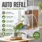 🎉Limited‑Time 56% OFF 🐦No Mess Automatic Bird Feeder