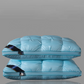 🥳 2026 HOT SALE 🥳 💞  Washable ergonomic neck pillow – Breathable and soft with 3D stitching.