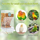 🎉Limited‑Time 56% OFF 🐦No Mess Automatic Bird Feeder