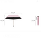 🎁Ultra-Lightweight Compact All-Weather Umbrella