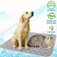 📢📢50% OFF !! ⏰Easy Clean Lightweight Pet Cooling Mat