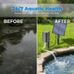 🔥 50% OFF 🐟 Solar-powered pond aerator with built-in air pump ☀️ Oxygenate the water effectively—without electricity costs 🌿