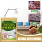 🔥Hot Sale 50% OFF🔥 Natural Mite Control Sachet 10-Pack – Plant-Based, Non-Toxic, 60-Day 🌿