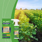 🔥Hot Sale 50% OFF🔥 Plant Nutrient Liquid Spray – Foliar Feed, Ready-to-Use, for Indoor & Outdoor 🌿