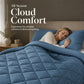 🛏️ LIMITED-TIME 50% OFF! ✨ 3-Piece Quilted Comforter Set with Shams – All-Season Microfiber